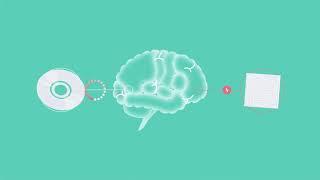 Can you have FND as well as another neurological disorder?
