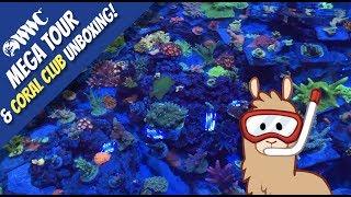 The World Wide Corals MEGA Tour & Silver Package Coral Club Unboxing