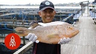 Meet the Man Bringing IT Skills to the Sea