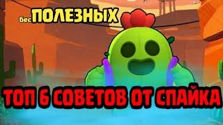 6 ПОЛЕЗНЫХ СОВЕТОВ ОТ СПАЙКА