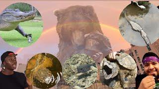 Hood Nature X The Wild Watchers 7: GNARLY ~ G’NARRATIONS 