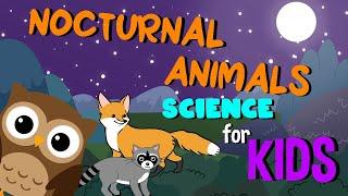 Nocturnal Animals | Science for Kids