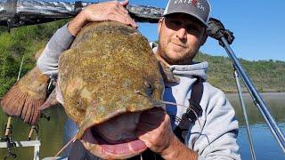 Catfish Tournament on The Ohio River, New PB Flathead