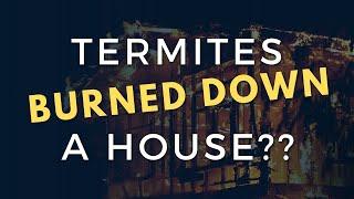 Termite Arsonists - They can burn down houses now??