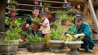 Making Flower Pots From Cement, Planting Flowers, Taking Care Of Vegetable Garden, Family Farm