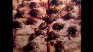 Someday Never Comes (Creedence Clearwater Revival) - Jim Harrison, All Vocals