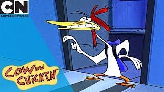 Cow and Chicken | Becoming Rich and Famous | Cartoon Network