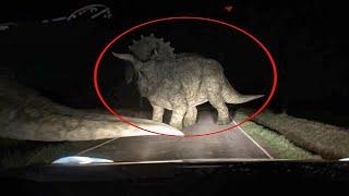 15 dinosaurs caught on camera in real life