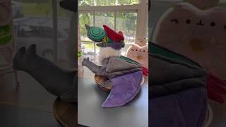 Making a huge #Noivern #plush today! He has quilt batting in his wings! Credit: Myself #pokemon