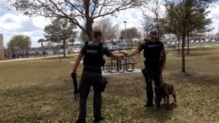 Manatee County Sheriff K-9 unit visits McNeal Elementary School