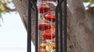 Outdoor Hanging Galileo Thermometer