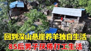 85后男子厌倦了打工生活，回到深山悬崖养羊，过与世无争的生活！【乡村阿泰】