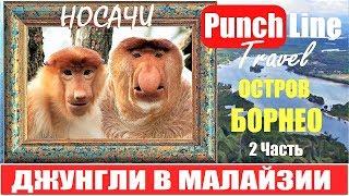 Носачи в джунглях. Гарем в Малайзии