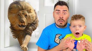 Platoha Moha and Dad have set up a home zoo Pretend play with Platoha Moha