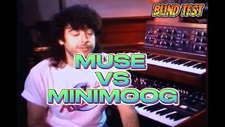 Blindfold Showdown: Muse vs. Minimoog Model D – Can You Hear the Difference?