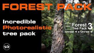 Photorealistic Tree Pack for Unreal Engine 4 and 5.