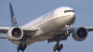 AMAZING Close Up Arrival Amsterdam Schiphol Airport 3x A350, 7x B777, B747, B787, A330, B767(Condor)