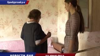 На краю леса