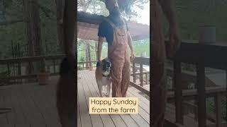 Happy Sunday from Healing Moon Farm