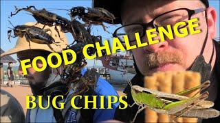 Food Challenge - Chips Made of Crickets in Nara