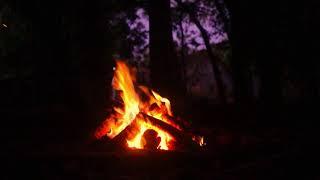 Wadidaw Funtastic Fire Live Stream