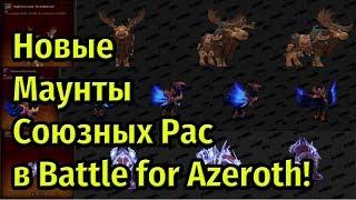 Маунты Союзных Рас в Battle for Azeroth + Формы друидов Тауренов Крутогорья!