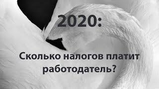 Сколько налогов платит работодатель в 2020 #БелыеНалоги2020