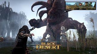 Kzarka from GM Box : Black Desert online