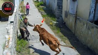 Incredible Moments Caught on Camera  (P161)