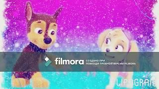 Щенячий патруль. Гонщик и Скай. Chase and Skye. Paw patrol