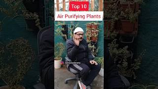 Best Indoor Plants For Home I Top 10 Air Purifying Plants #indoorplants