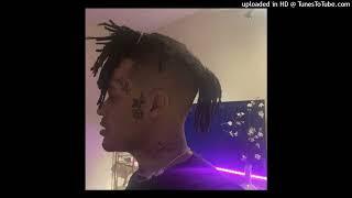 [FREE] MexikoDro x StoopidXool Type Beat (Prod. dani)