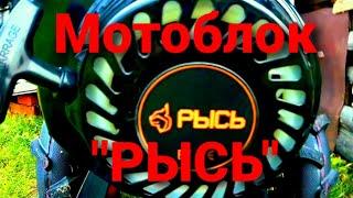 МОТОБЛОК "РЫСЬ 8-10 PRO". Сборка мотоблока. Часть 1-я. Меняю резину на "Ниве" и собираю мотоблок.