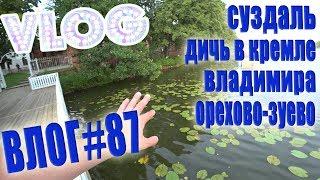 VLOG #87 Суздаль | Владимир | Орехово Зуево / Влог