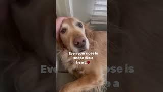 Heart shaped nose