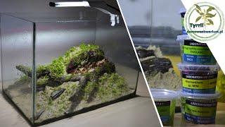 21st century low tech aquarium.  Set up an aquarium. How to set up an aquarium. A simple aquarium.