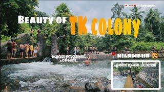 Tk colony nilambur |hidden gem of nilambur| sarkeetgram