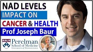 NAD Levels - Impact On Cancer & Health | Professor Joseph Baur Interview Series Episode2