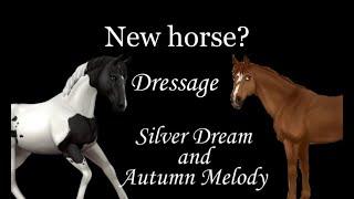 ¤ New horse? ¤ Dressage ¤ SilverDream and AutumnMelody ¤