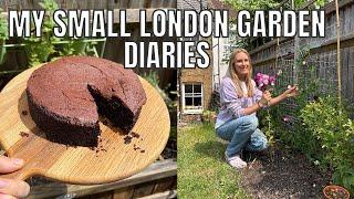 HOME GARDENING AND COOKING / SMALL LONDON GARDEN DIARIES
