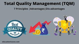 What is Total Quality management (TQM)? |  7 Principles of Total Quality Management