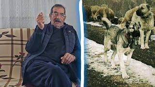 DEDEM 70 YIL ÖNCE ÇEVREYE NAM SALAN EFSANE KÖPEKLERİNİ ANLATTI ~ESKİDEN BİLE KÖPEKLERİMİZ EFSANEYMİŞ