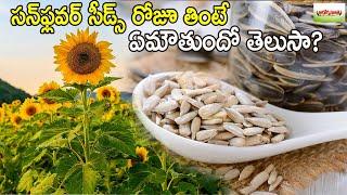 సన్‌ఫ్లవర్ సీడ్స్ రోజూ తింటే ఏమౌతుందో తెలుసా.. ? | Health Benefits Of Eating Sunflower Seeds Daily