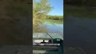 Sliding around carlyle lake #airranger#airboats#carlyleairboats#illinoisairboaters