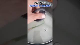 PANDAN LEAVES how to use #tutorialsvideo #pandanplant #pandanlovers #plantslover #monetization