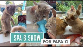 Spa & Show for Papa G