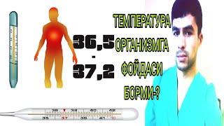 #ТЕМПЕРАТУРа ёши КАТТАЛАРДА кутарилиши ва ПАСАЙТИРИШ юллари.