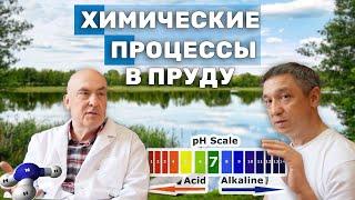 Химический состав воды пруда для рыб. Не погубите случайно рыбу. Ихтиопатолог