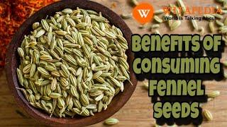 Benefits of consuming fennel seeds - @Witapedia