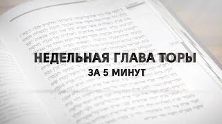 Глава Берешит  "Недельная глава Торы за пять минут" реб Давид Мануйлов